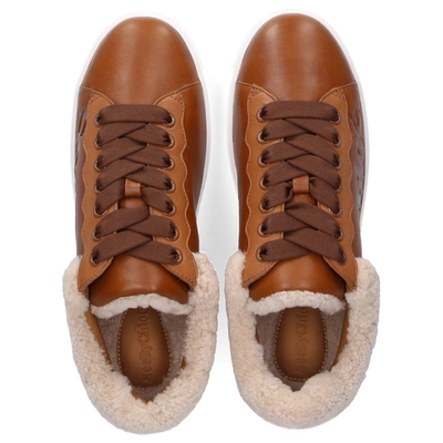 Shop See By Chloé Low-top Sneakers Essie Calfskin Logo Brown