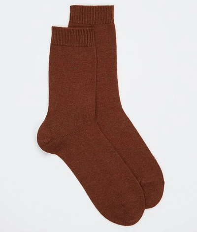 Shop Falke Cosy Wool Socks In Caramel