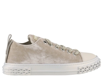 Shop Giuseppe Zanotti Blabber Sneakers In Grey