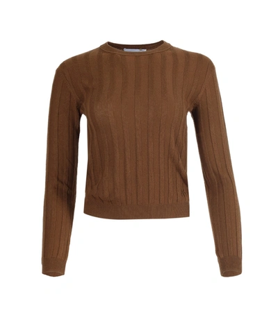 Shop Alexandra Golovanoff Kawai Cotes Knit Sweater In Brown