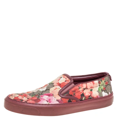 Pre-owned Gucci Multicolor Gg Supreme Blooms Printed Canvas Slip On Trainers Size 37