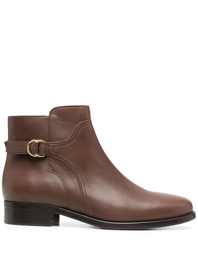 Shop Tila March Chelsea Ankle Boots In Brown