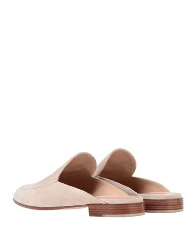 Shop Gianvito Rossi Mules In Light Pink