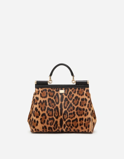 Shop Dolce & Gabbana Large Sicily Bag In Embroidered Leopard-print Pony Hair