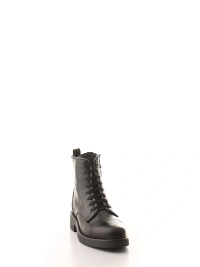 Shop Albano Women's Black Leather Ankle Boots