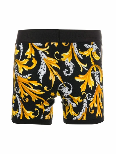 Shop Versace Men's Multicolor Cotton Boxer