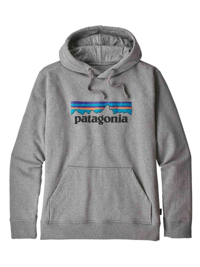 Shop Patagonia Branded Hoodie In Grey