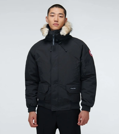 Shop Canada Goose Chilliwack Bomber Jacket In Black