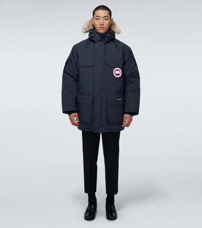 Shop Canada Goose Expedition Parka In Blue