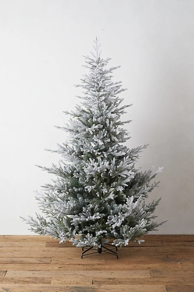 Shop Anthropologie Snowy Faux Norway Spruce In Assorted