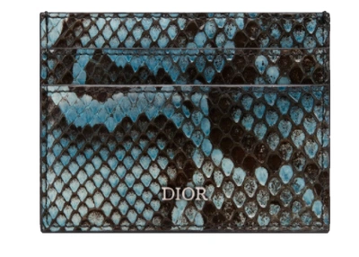 Pre-owned Dior  Card Holder Python (4 Card Slot) Blue