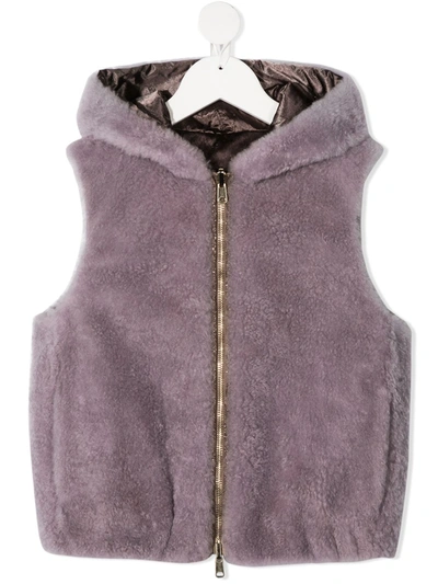 Shop Brunello Cucinelli Hooded Zip-up Gilet In Purple
