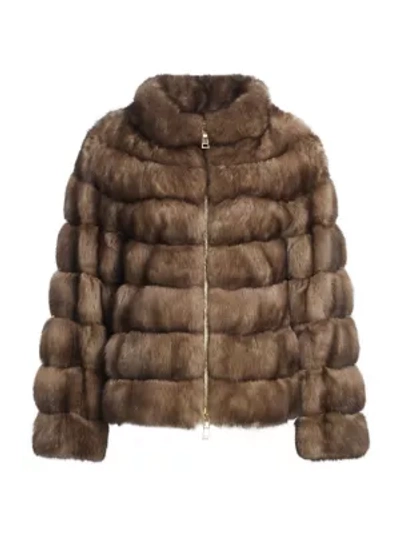 Shop The Fur Salon Rubi Sable Fur Stand Collar Jacket In Tortora