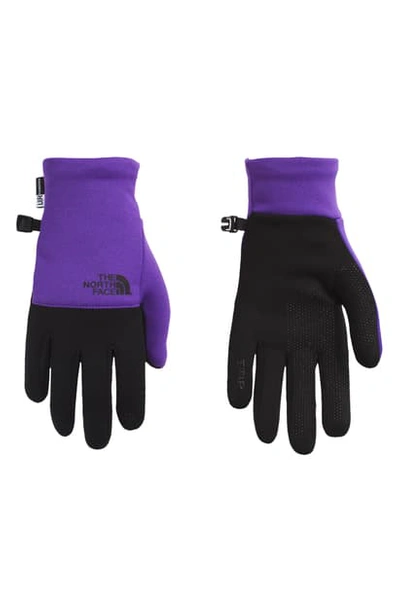 Shop The North Face Etip Gloves In Peakprpl/tnfblk