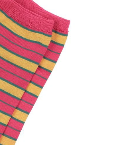 Shop Marni Socks & Tights In Fuchsia