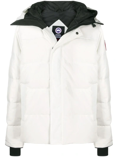 Shop Canada Goose Macmillan Hooded Jacket In Weiss
