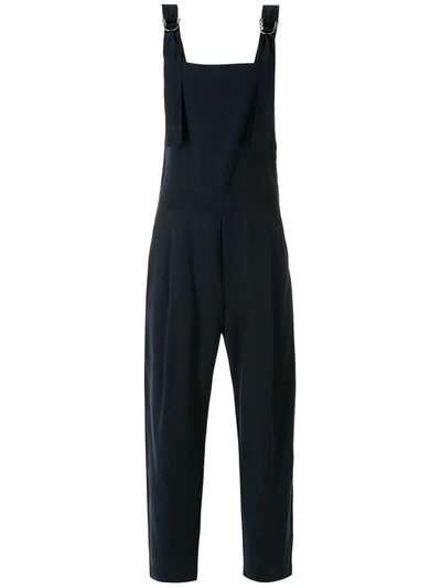 Shop Alcaçuz Amisha Sleeveless Jumpsuit In Blue