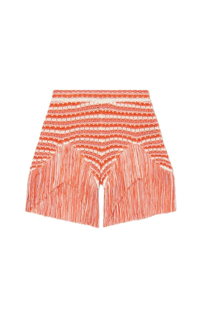 Shop Alanui Women's Desert Summer Shorts In Multi