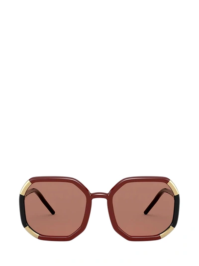 Shop Prada Pr 20xs Brown Sunglasses In 03f1p1