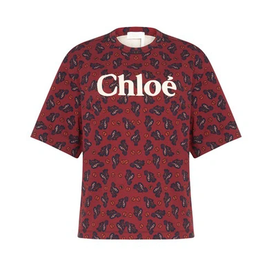 Shop Chloé Logo T-shirt In Crafty Brown