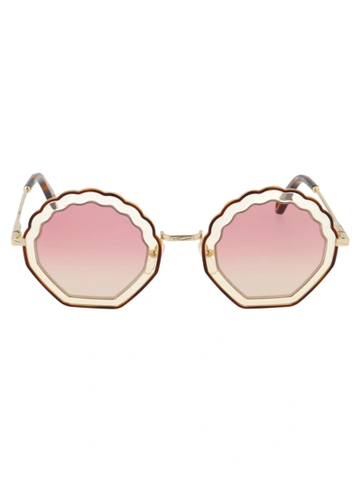 Shop Chloé Ce147s Sunglasses In 257 Havana Sand/gradient Pink