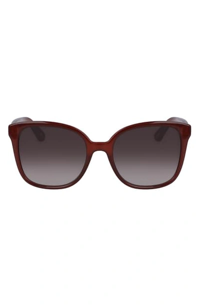 Shop Chloé 59mm Gradient Square Sunglasses In Burgundy