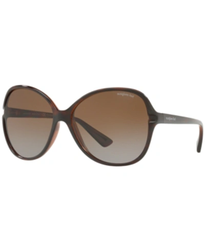 Shop Sunglass Hut Collection Polarized Sunglasses , Hu2001 60 In Brown/brown Polarized