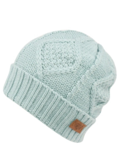 Shop Angela & William Women's Beanie With Sherpa Lining In Mint
