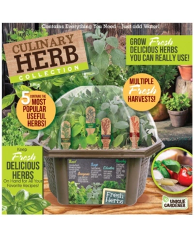 Unique Gardener Biosphere Terrarium - Culinary Herb Collection In No Color