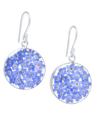 Shop Giani Bernini Medium Round Dried Flower Earrings In Sterling Silver. Available In Multi, Blue Or Purple