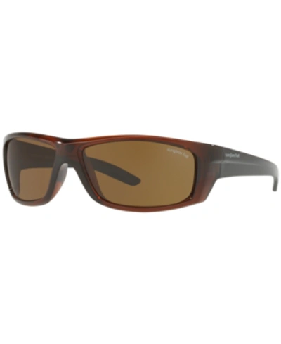 Shop Sunglass Hut Collection Sunglasses, Hu2007 63 In Brown/brown