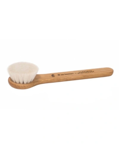 Shop Province Apothecary Daily Glow Facial Dry Brush, 1.5 oz