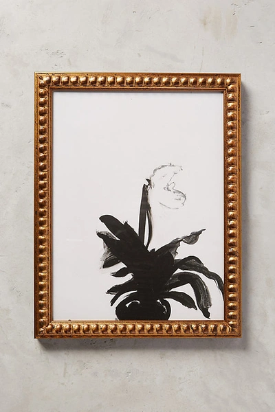 Shop Artfully Walls The Orchid Wall Art In Black