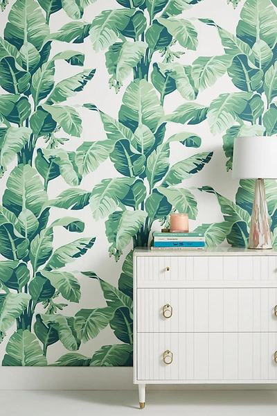 Shop Nathan Turner Pacifico Palm Wallpaper In Assorted
