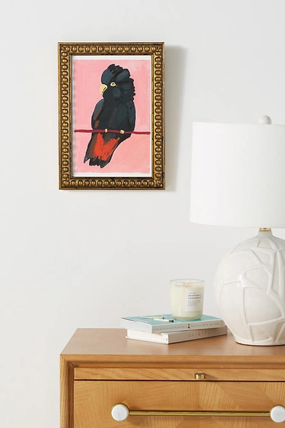 Shop Artfully Walls Red-tailed Black Cockatoo Wall Art In Brown