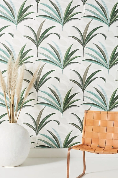 Shop York Wallcoverings Morocco Palm Wallpaper In Assorted