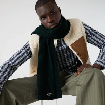 Shop Lacoste Men's Ribbed Rectangular Wool Scarf - One Size In Green
