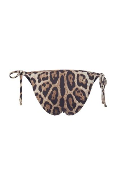 Shop Dolce & Gabbana Printed Bikini Briefs In Animal