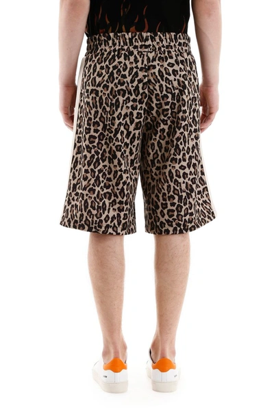 Shop Palm Angels Leopard Print Track Shorts In Multi