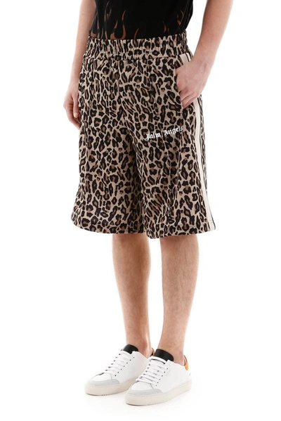 Shop Palm Angels Leopard Print Track Shorts In Multi