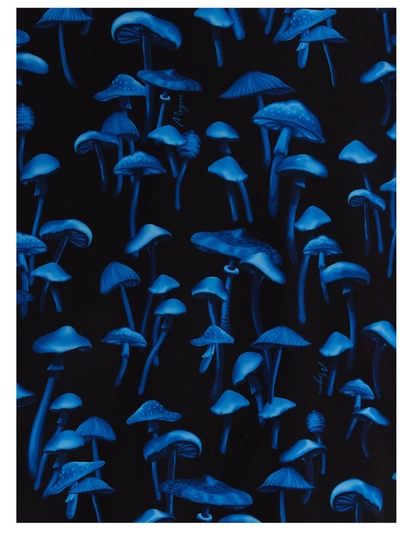 Shop Msgm Mushrooms Print Jacket In Multi