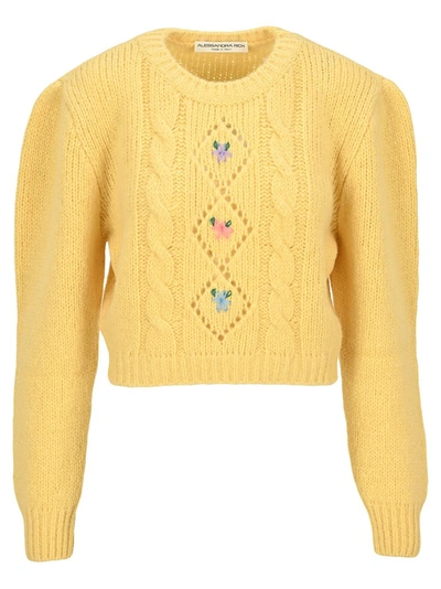 Shop Alessandra Rich Floral Embroidered Cropped Jumper In Yellow