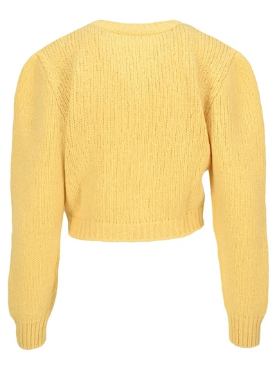 Shop Alessandra Rich Floral Embroidered Cropped Jumper In Yellow