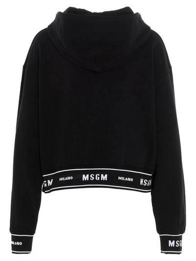 Shop Msgm Tape Logo Hoodie In Black