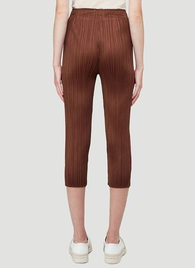 Shop Issey Miyake Pleats Please By  Pleated Cropped Pants In Brown