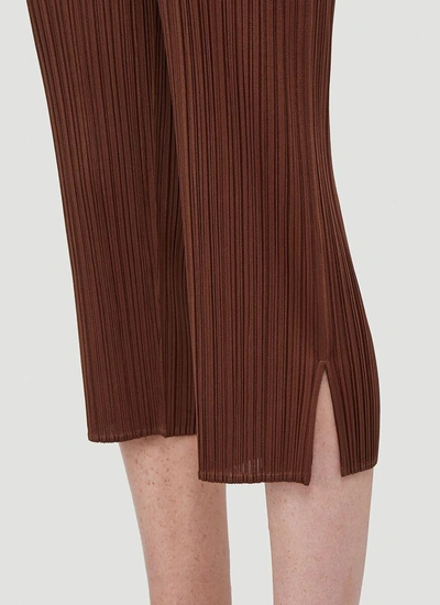 Shop Issey Miyake Pleats Please By  Pleated Cropped Pants In Brown