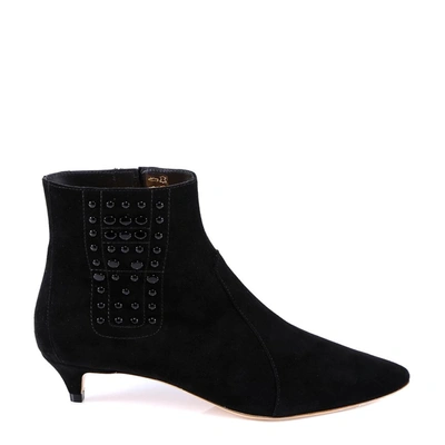 Shop Tod's Studded Ankle Boots In Black