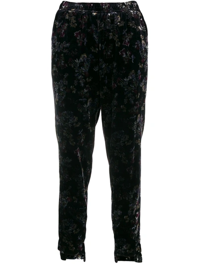 Shop Goldhawk Floral Printed Velvet Trousers In Black