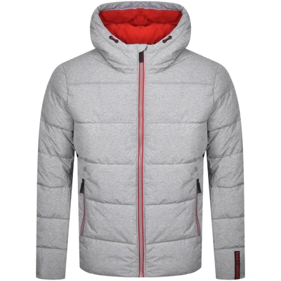 Shop Superdry Padded Sports Jacket Grey