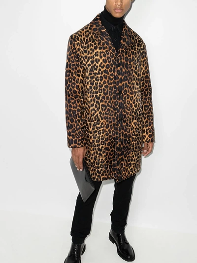 Shop Saint Laurent Single-breasted Leopard Print Coat - Men's - Polyamide In Brown